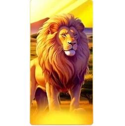 Lion
Safari